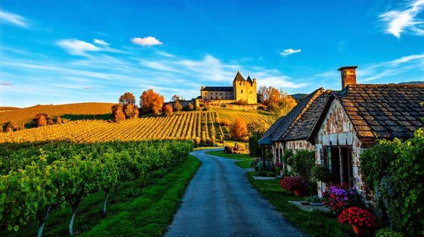 Top 5 expériences uniques d'une séance photo en Alsace